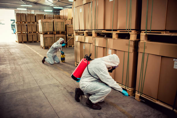 Best Local Pest Control Services  in Holbrook, NY