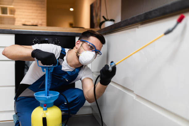 Best Termite Control Services  in Holbrook, NY