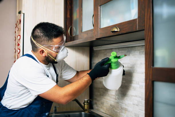 Best Mosquito Control Services  in Holbrook, NY