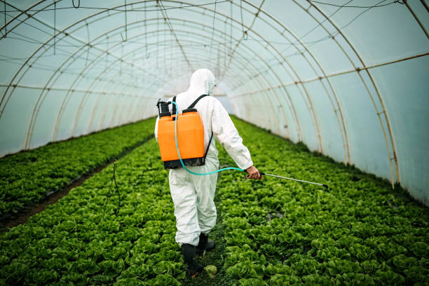 Best Pest Inspection Near Me  in Holbrook, NY