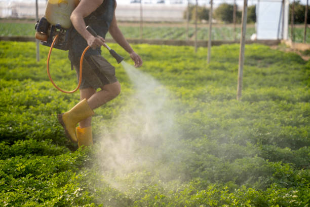 Reliable Holbrook, NY Pest Control Solutions