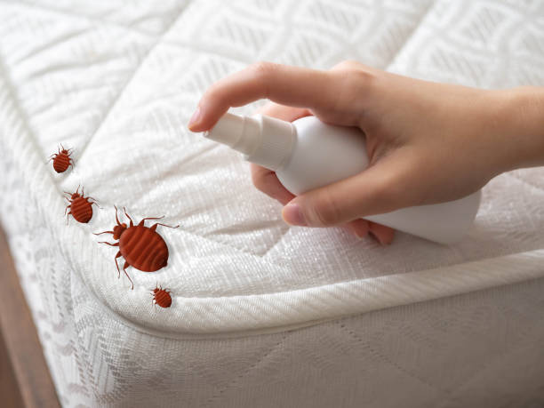 Best Commercial Pest Control Services  in Holbrook, NY