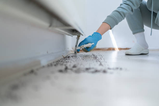 Best Commercial Pest Control Services  in Holbrook, NY