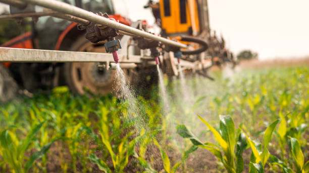 Pest Prevention Services in Holbrook, NY