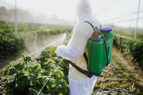 Best Best Pest Control Companies  in Holbrook, NY